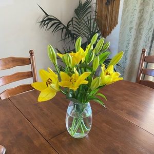 Meet your Posher, Jodie